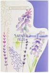 Heathcote & Ivory Ltd Heathcote & Ivory Ltd. Heathcote & Ivory Hârtie parfumată DIY - Lavender Fields, 5 coli