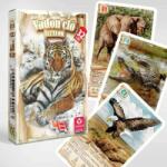 Cartamundi Állatos kártyajáték 4 in 1 - vadon élő állatok (609123)
