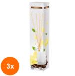 BISPOL Set 3 x Odorizant Camera Bispol Reed Diffuser Vanilie, 45 ml (GIL-3xLCA-DZ45-67)