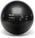 SKLZ Minge de antrenament SKLZ Trainer Ball 65cm, max. 225 Kg (WSI.APD-TB-SPT-04) Minge fitness