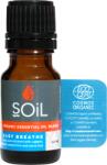Soil Amestec uleiuri esentiale Respiratie Usoara, 10ml, Soil