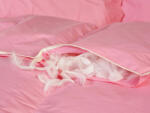 Goldea takaró készítéshez pamut angin dunyhatok - rózsaszín 140 x 200 cm