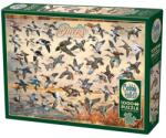 Cobble Hill 1000 db-os puzzle - Ducks of North America (40177) (40177)