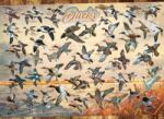 Cobble Hill 40177 - Ducks of North America - 1000 db-os puzzle (40177)
