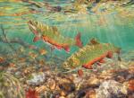 Cobble Hill 40182 - Brook Trout - 1000 db-os puzzle (40182)