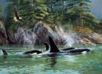 Cobble Hill 40183 - Orcas - 1000 db-os puzzle (40183)