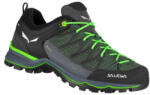 Salewa PANTOFI BARBATI SALEWA MOUNTAIN TRAINER LITE GTX 46 VERDE Salewa (4053866154710)