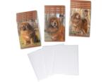 Herlitz Pachet 10 caiete + coperti A5, 48 file, dictando, Boss Phantom, Herlitz PCKHZ9488470COP