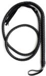 Fetish Addict Whip 2m Black