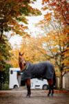 Horseware Ireland Autumn Cooler" leszárító takaró, aqua&silver - 155 cm
