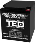 TED Electric Acumulator AGM VRLA 12V 28A dimensiuni speciale 165mm x 125mm x h 175mm M6 TED Battery Expert Holland TED003430 (TED003430)