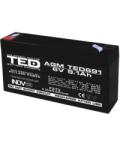 TED Electric Acumulator AGM VRLA 6V 9, 1A dimensiuni 151mm x 34mm x h 95mm F2 TED Battery Expert Holland TED002990 (TED002990)