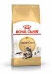Royal Canin ROYAL CANIN Maine Coon Adult 10kg + MEGLEPETÉS A MACSKÁNAK