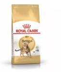 Royal Canin Bengal Adult 10kg + MEGLEPETÉS A MACSKÁNAK
