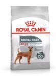 Royal Canin ROYAL CANIN CCN Medium Dental Care 10kg + MEGLEPETÉS A KUTYÁDNAK