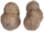  Moqui - Shaman Stones Mineral Natural Brut - 49-58 x 34-39 mm - ( XXL) - 1 Pereche