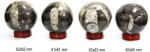 Sfera din Fosil Orthoceras Mineral Natural 60-63 mm - 1 Buc