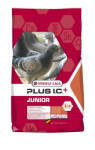 Versele-Laga Junior Plus IC 20 kg, hrana porumbei tineri Versele Laga (411033)