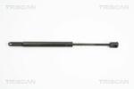 TRISCAN Amortizor capota TRISCAN 8710 11108 (8710 11108) - automobilus