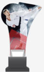 ARMURA Trofeu plexi glass Karate CP01 KAR (CP01/KAR)