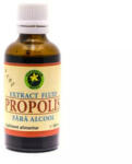 Hypericum Plant - Extract propolis fara alcool 50 ml Hypericum - hiris