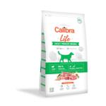 Calibra Dog Life Adult Medium Lamb 12 kg + SURPRIZĂ PENTRU CÂINELE TĂU ! ! !