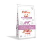 Calibra Dog Life Junior Large Breed Lamb 12 kg + SURPRIZĂ PENTRU CÂINELE TĂU ! ! !