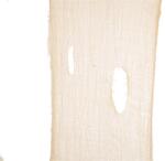 Europalms Halloween Decor Fabric, coarse meshed, beige, 75x300cm (83316133)