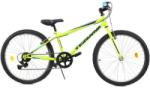 DHS 2421 Bicicleta