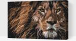  Festés számok szerint - Ragadozó tekintet Méret: 40x60cm, Keretezés: Kartonlemezen