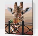  Festés számok szerint - Zsiráf Méret: 30x40cm, Keretezés: Műanyagtáblával