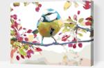  Festés számok szerint - Madár Méret: 30x40cm, Keretezés: Kartonlemezen