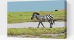  Festés számok szerint - Serengeti Nemzeti Park 2 Méret: 40x60cm, Keretezés: Műanyagtáblával