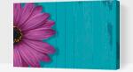  Festés számok szerint - Sárga gerbera Méret: 40x60cm, Keretezés: Kartonlemezen