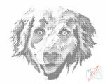  PontPöttyöző - Retriever Méret: 30x40cm, Keretezés: Műanyagtáblával, Szín: Fekete