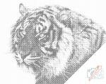  PontPöttyöző - Tigris Méret: 40x50cm, Keretezés: Fatáblával, Szín: Zöld