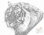  PontPöttyöző - Tigris Méret: 40x50cm, Keretezés: Kartonlemezen, Szín: Zöld