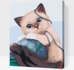  Festés számok szerint - Gombolyaggal játszó kiscica Méret: 30x40cm, Keretezés: Műanyagtáblával