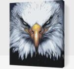  Festés számok szerint - Festés számok szerint -Sasfej Méret: 40x50cm, Keretezés: Műanyagtáblával