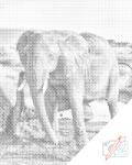  PontPöttyöző - Safari - elefánt Méret: 40x50cm, Keretezés: Műanyagtáblával, Szín: Zöld