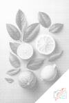  PontPöttyöző - Citrusos háttér Méret: 40x60cm, Keretezés: Kartonlemezen, Szín: Piros
