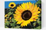  Festés számok szerint - Napraforgó Méret: 30x40cm, Keretezés: Kartonlemezen