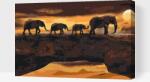  Festés számok szerint - Elefántos kaland Méret: 40x60cm, Keretezés: Műanyagtáblával