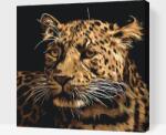  Festés számok szerint - Jaguár Méret: 50x50cm, Keretezés: Műanyagtáblával
