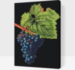  Festés számok szerint - Vintage szőlő Méret: 40x60cm, Keretezés: Kartonlemezen