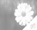  PontPöttyöző - Gerbera Méret: 40x50cm, Keretezés: Kartonlemezen, Szín: Kék