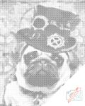  PontPöttyöző - Mops kalappal Méret: 40x50cm, Keretezés: Műanyagtáblával, Szín: Fekete