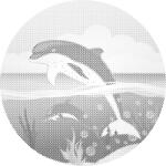  PontPöttyöző - Delfinek az óceánban Méret: 50x50cm, Keretezés: Műanyagtáblával, Szín: Piros