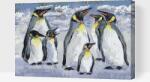  Festés számok szerint - Pingvinek Méret: 40x60cm, Keretezés: Műanyagtáblával