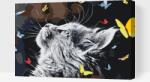  Festés számok szerint - Kiscica pillangók társaságában Méret: 40x60cm, Keretezés: Műanyagtáblával